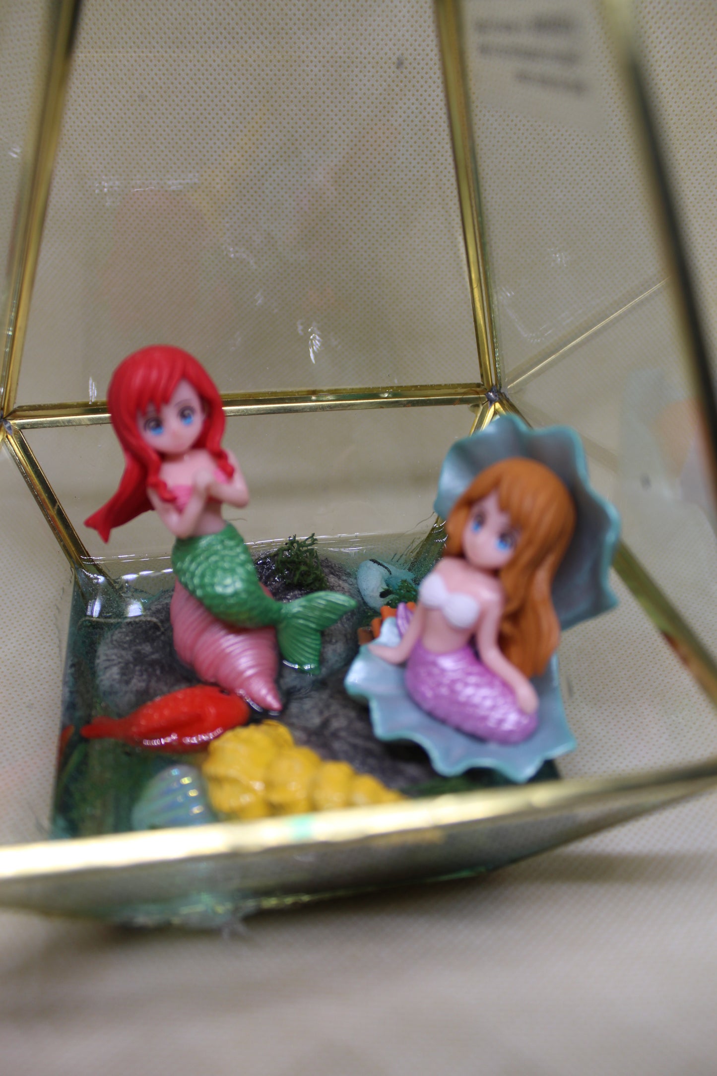 Under the sea hanging terrarium