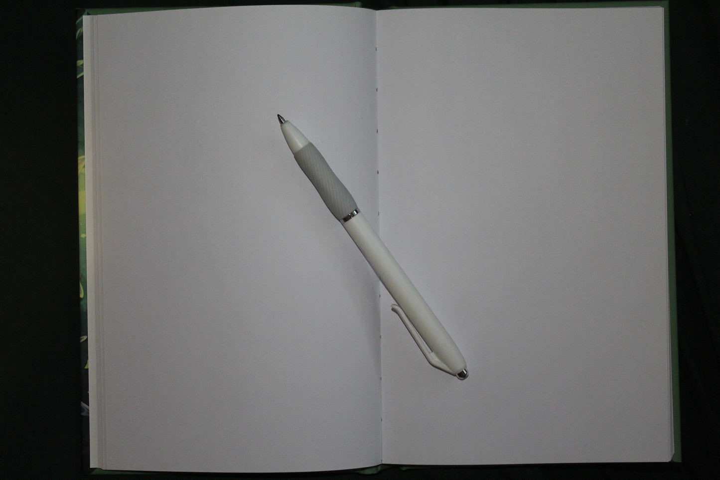 Fairy notebook/Sketchbook