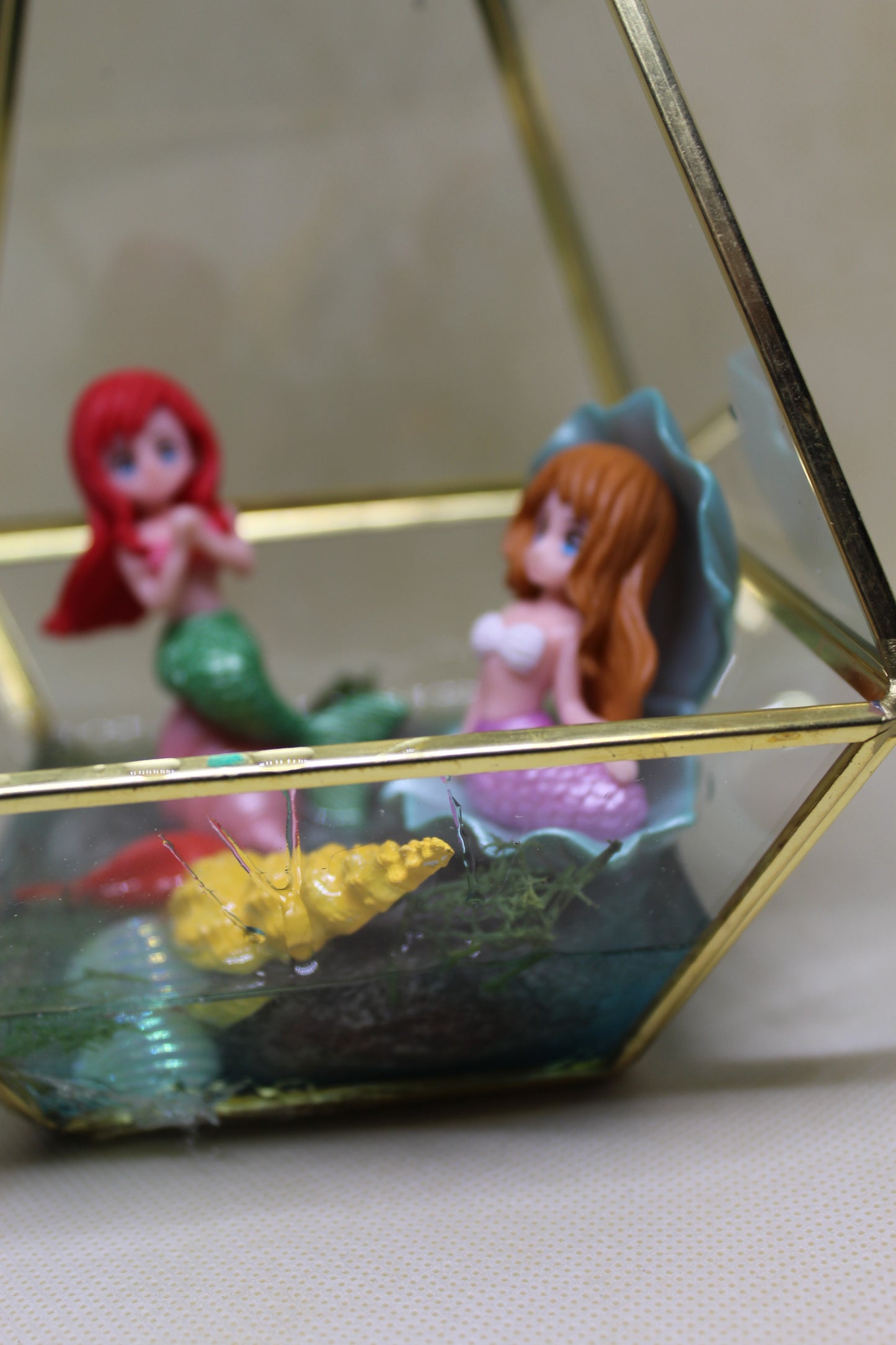 Under the sea hanging terrarium